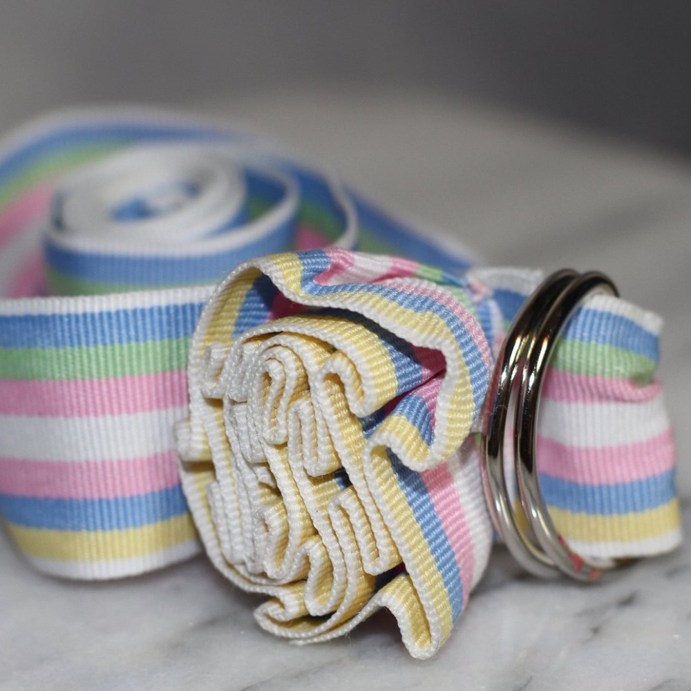 Multi Color Belt - Picture 2 of 7